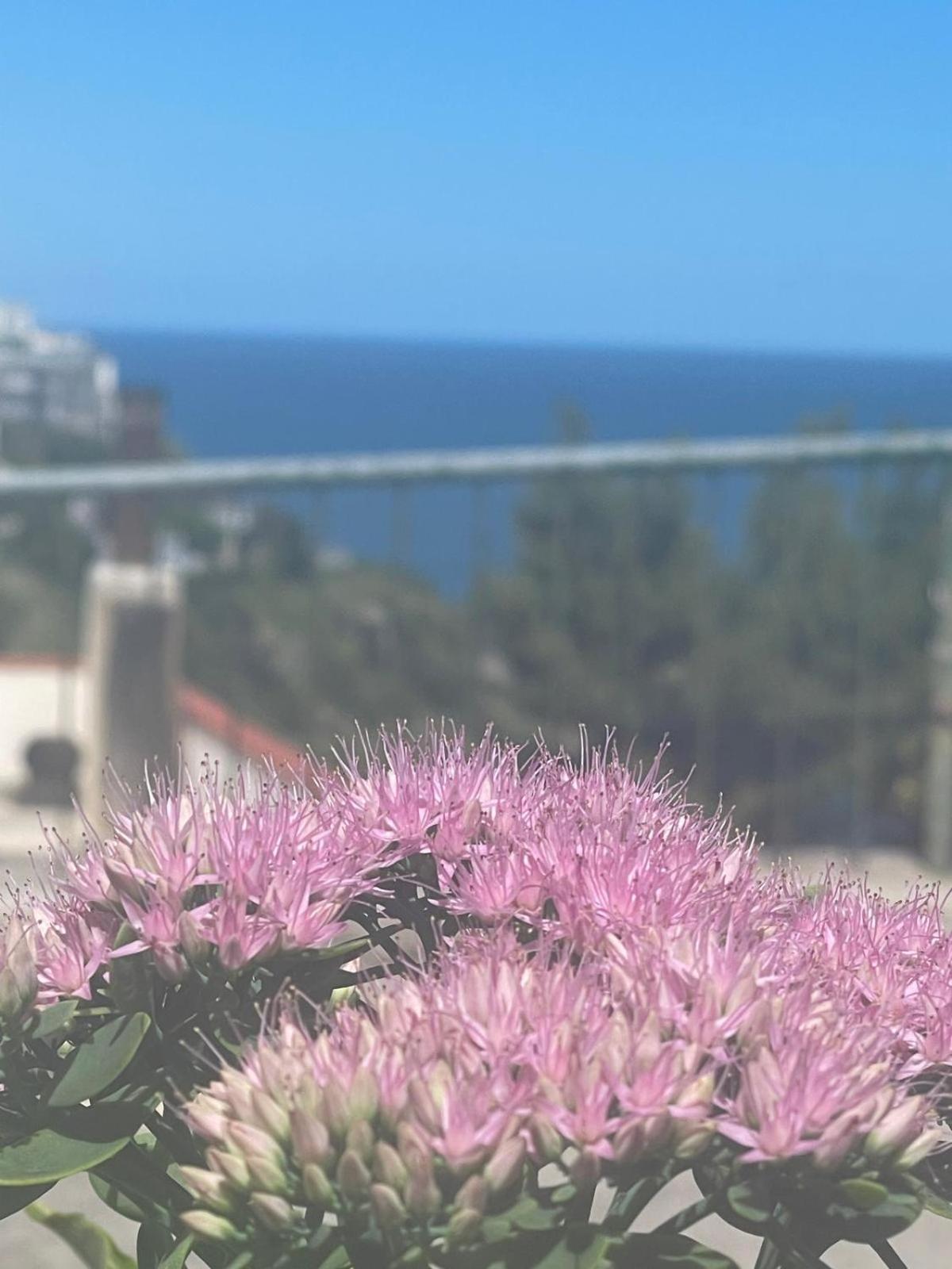 Sunderville Superior Peschici Dış mekan fotoğraf