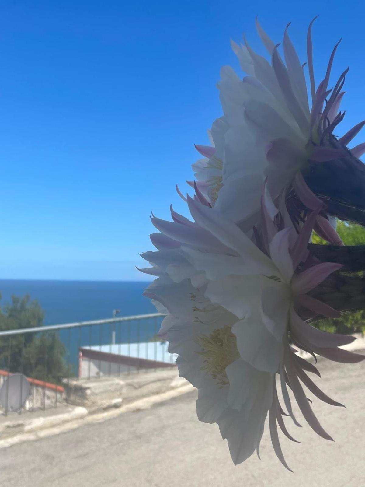 Sunderville Superior Peschici Dış mekan fotoğraf